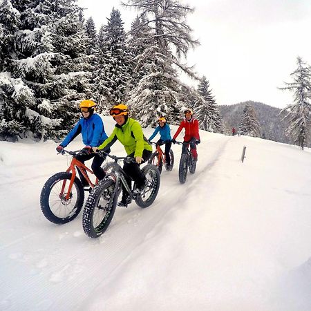 Bio-Holzhaus Und Landhaus Heimat Ramsau am Dachstein Bagian luar foto