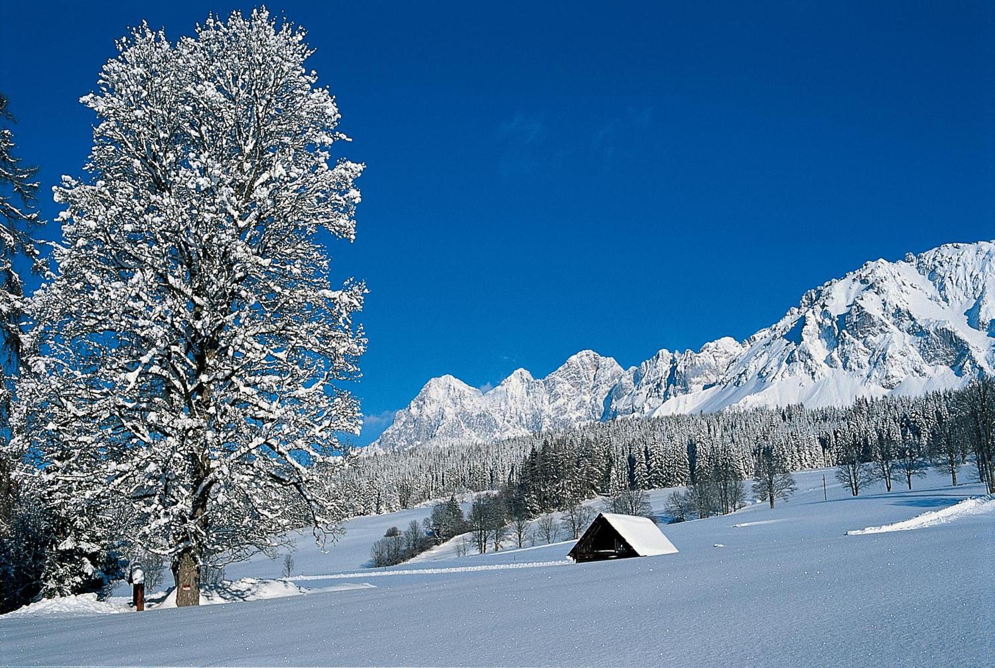 Bio-Holzhaus Und Landhaus Heimat Ramsau am Dachstein Bagian luar foto