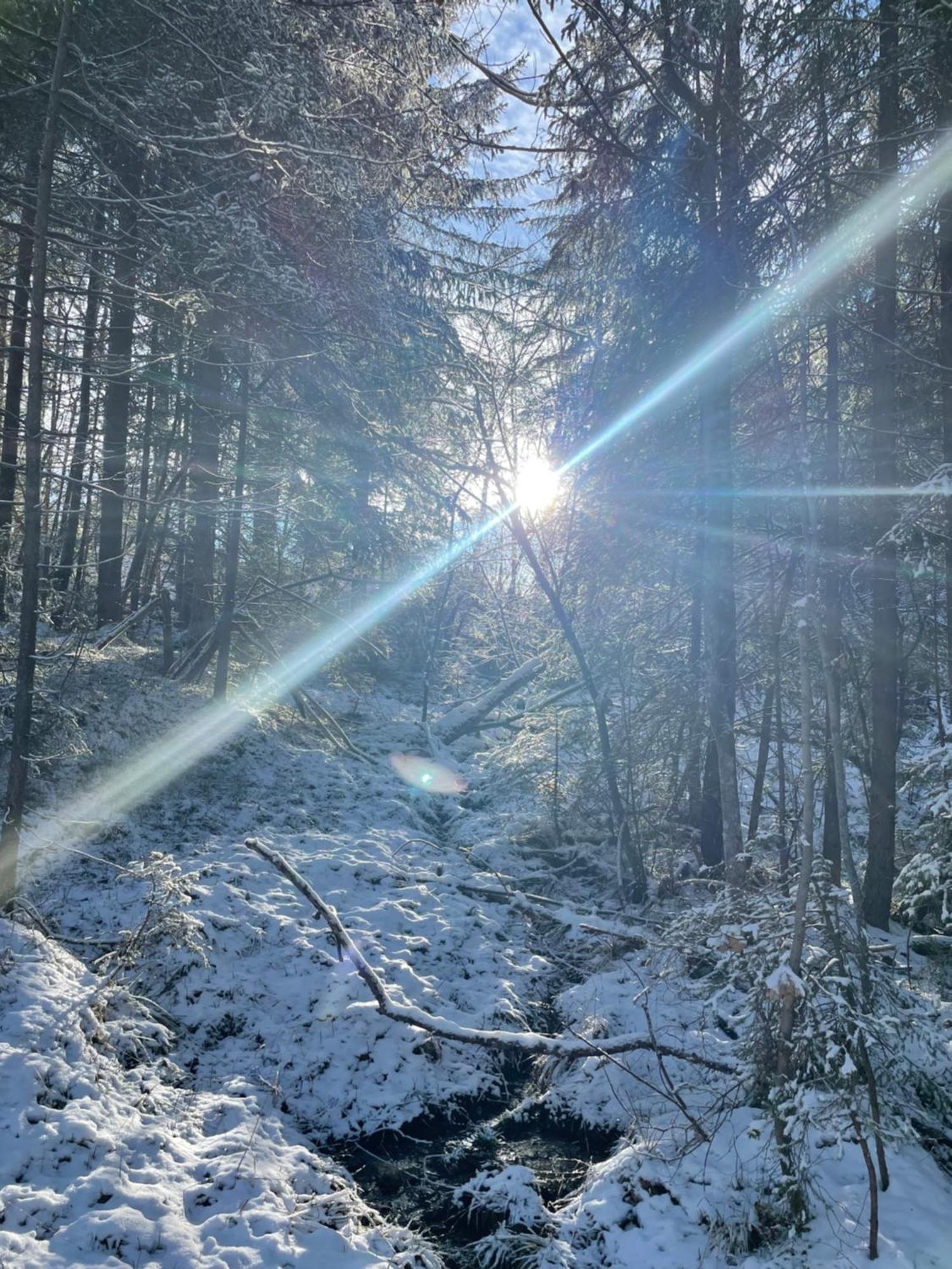 Bio-Holzhaus Und Landhaus Heimat Ramsau am Dachstein Bagian luar foto