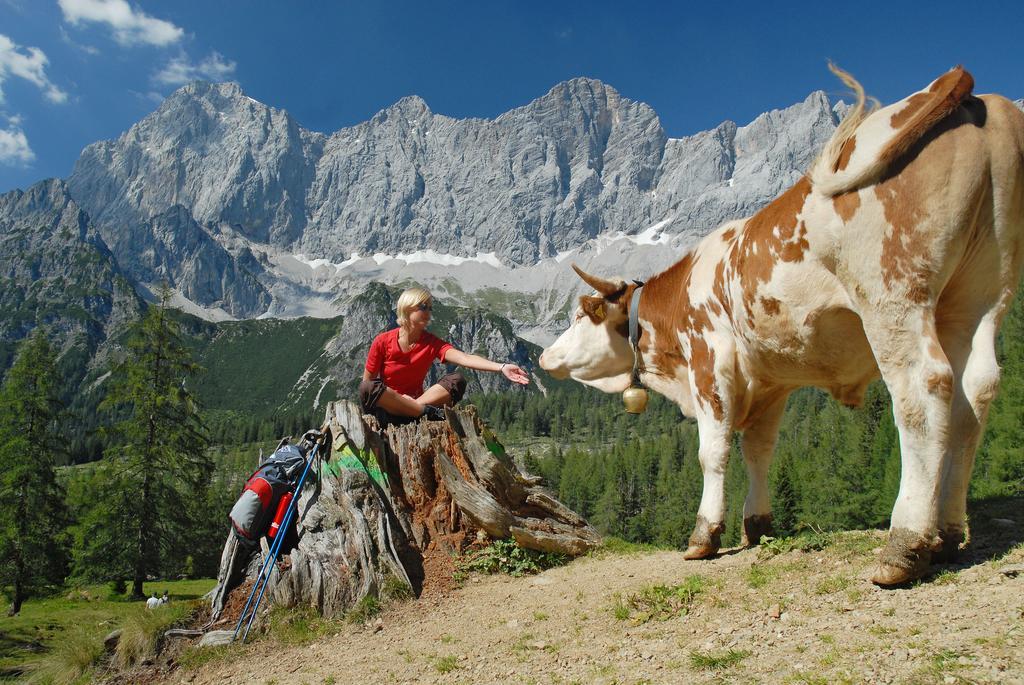 Bio-Holzhaus Und Landhaus Heimat Ramsau am Dachstein Bagian luar foto